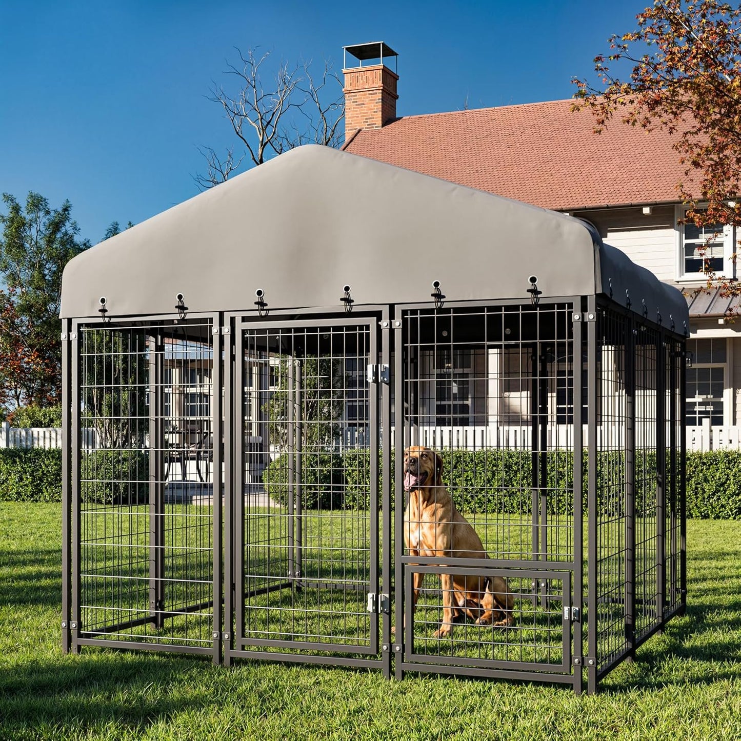 Muphyers 6X6FT Dog Kennel Outside Dog Kennel