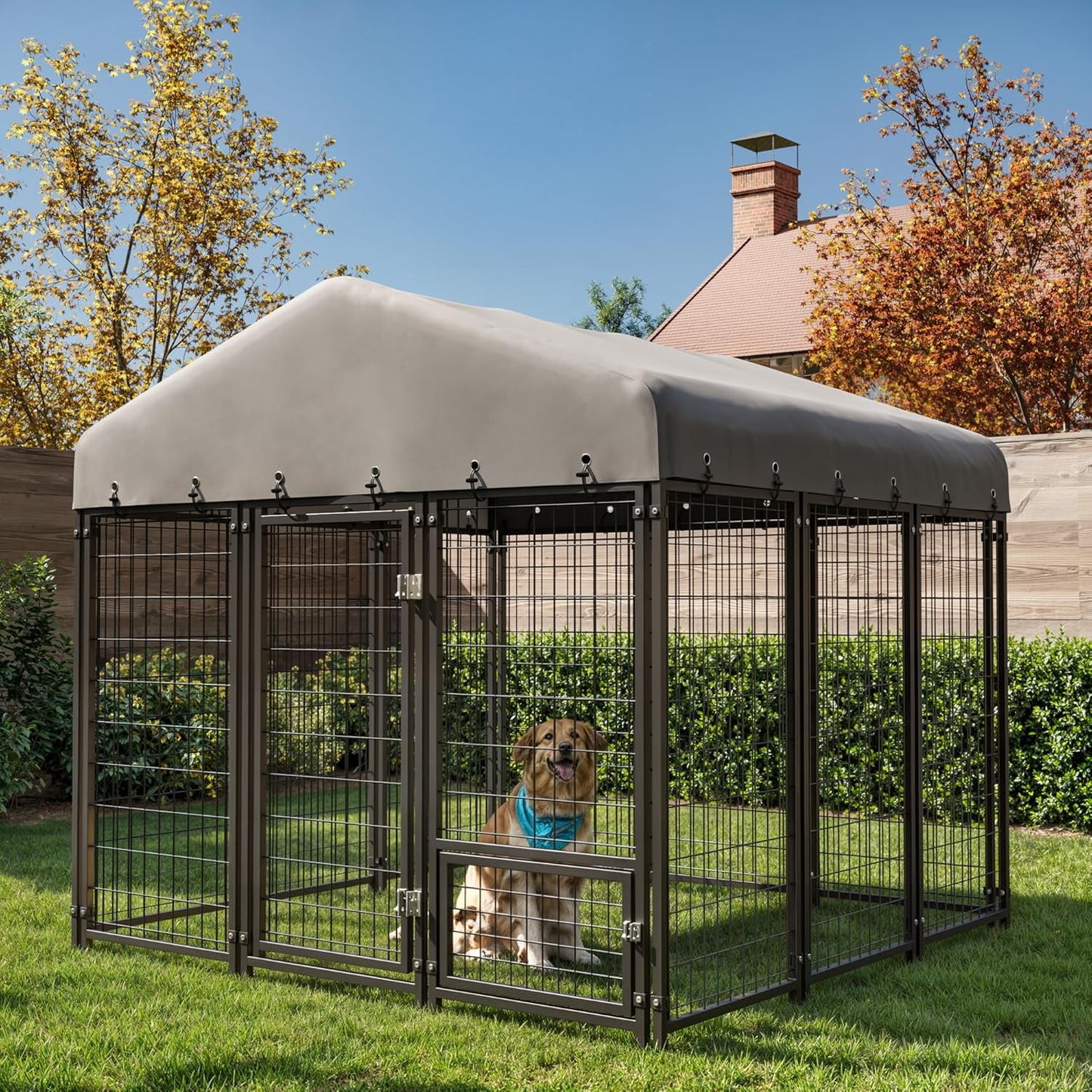 Muphyers 6X6FT Dog Kennel Outside Dog Kennel