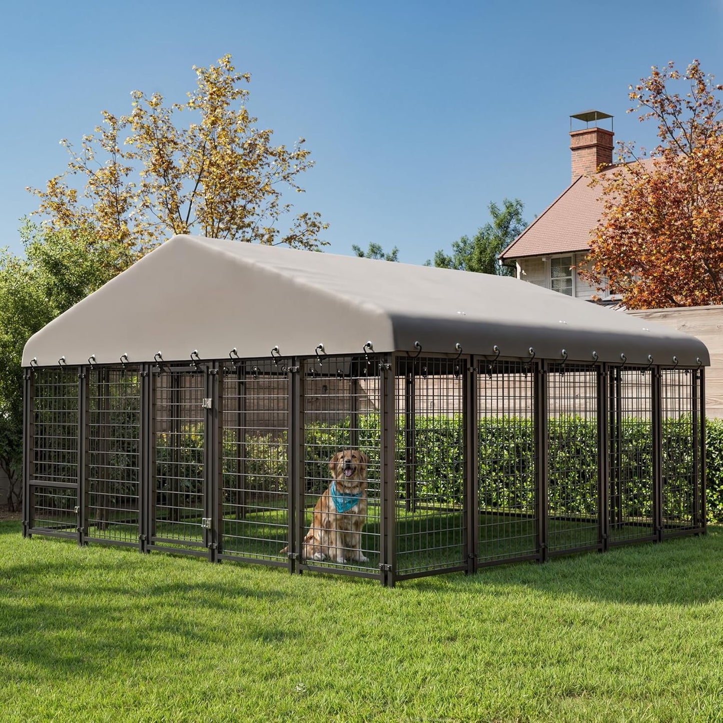 Muphyers 10x10 Ft Large Dog Kennel Outside